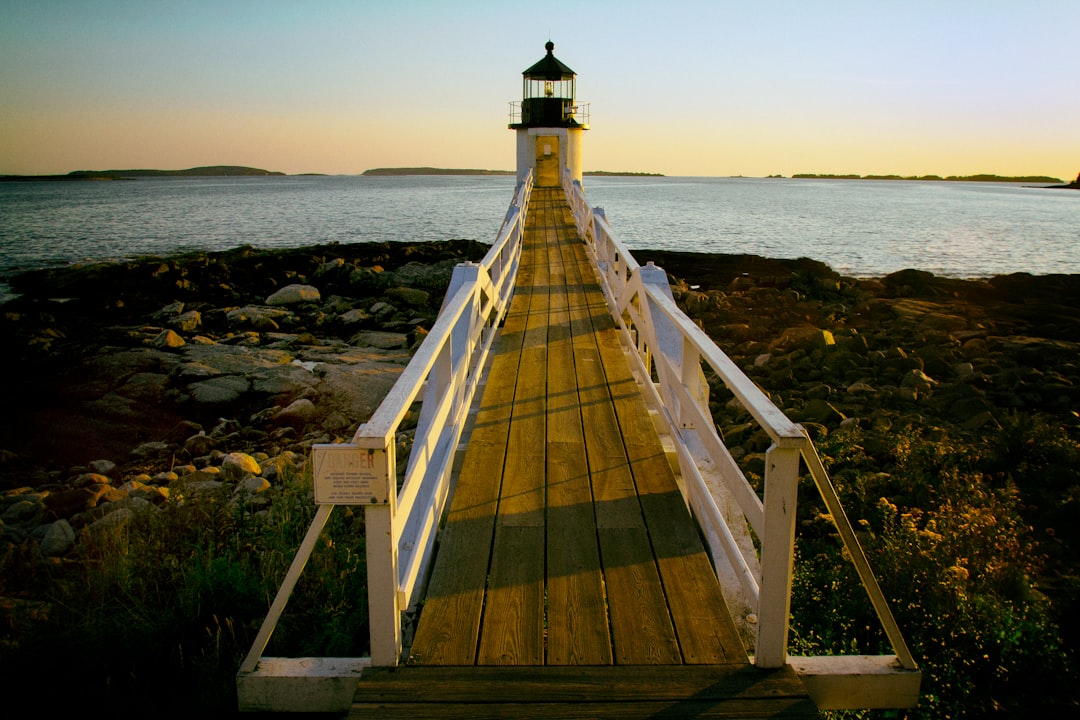 brown and white wooden dock with light house