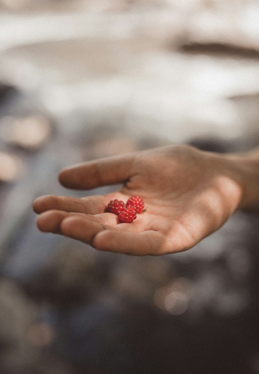 Persona sosteniendo tres frutos rojos en fotografía enfocada