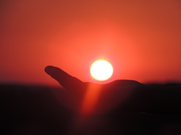 Hands gently holding a glowing red sky at dawn, symbolizing hope and new beginnings.