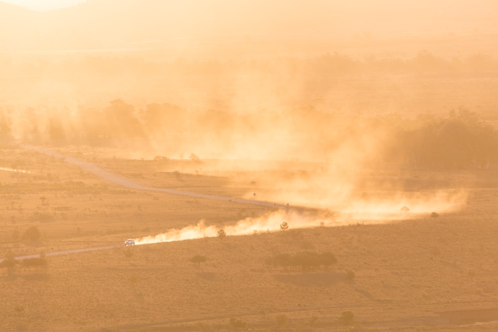 person taking photo of forest fire