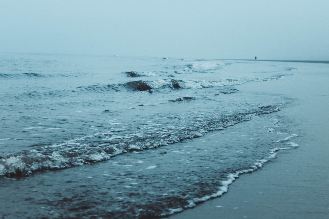 Shore photo spot Dunkirk Escalles