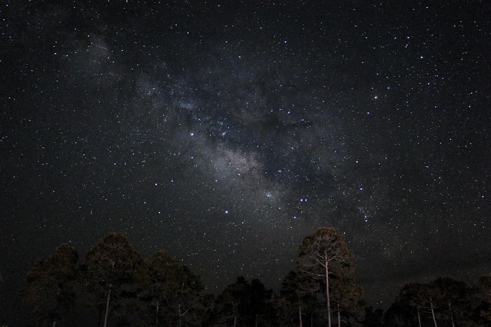 Photographie en contre-plongée de l’étoile la nuit