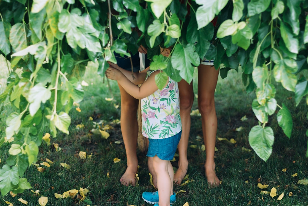 a couple of people that are standing under a tree