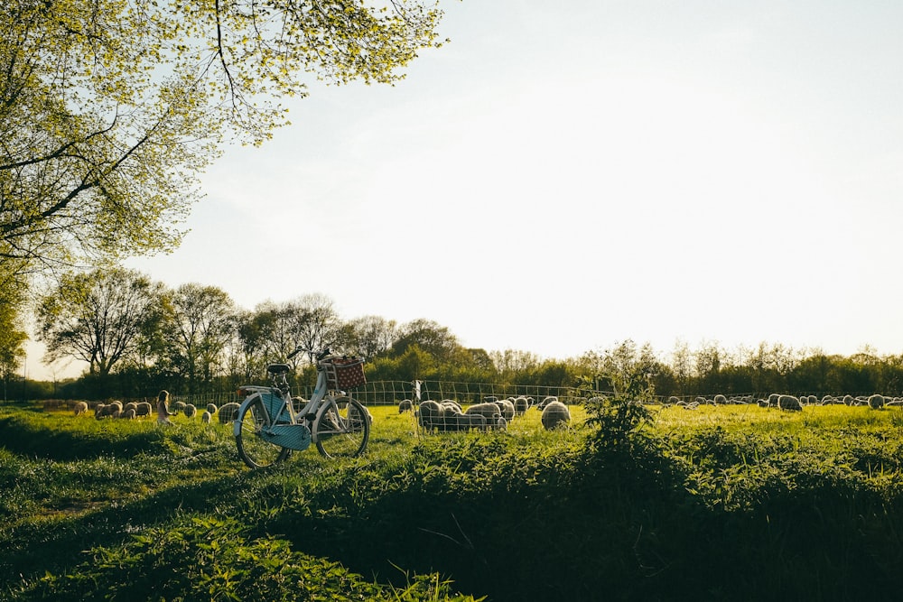 white adult trike on grasses during daytime