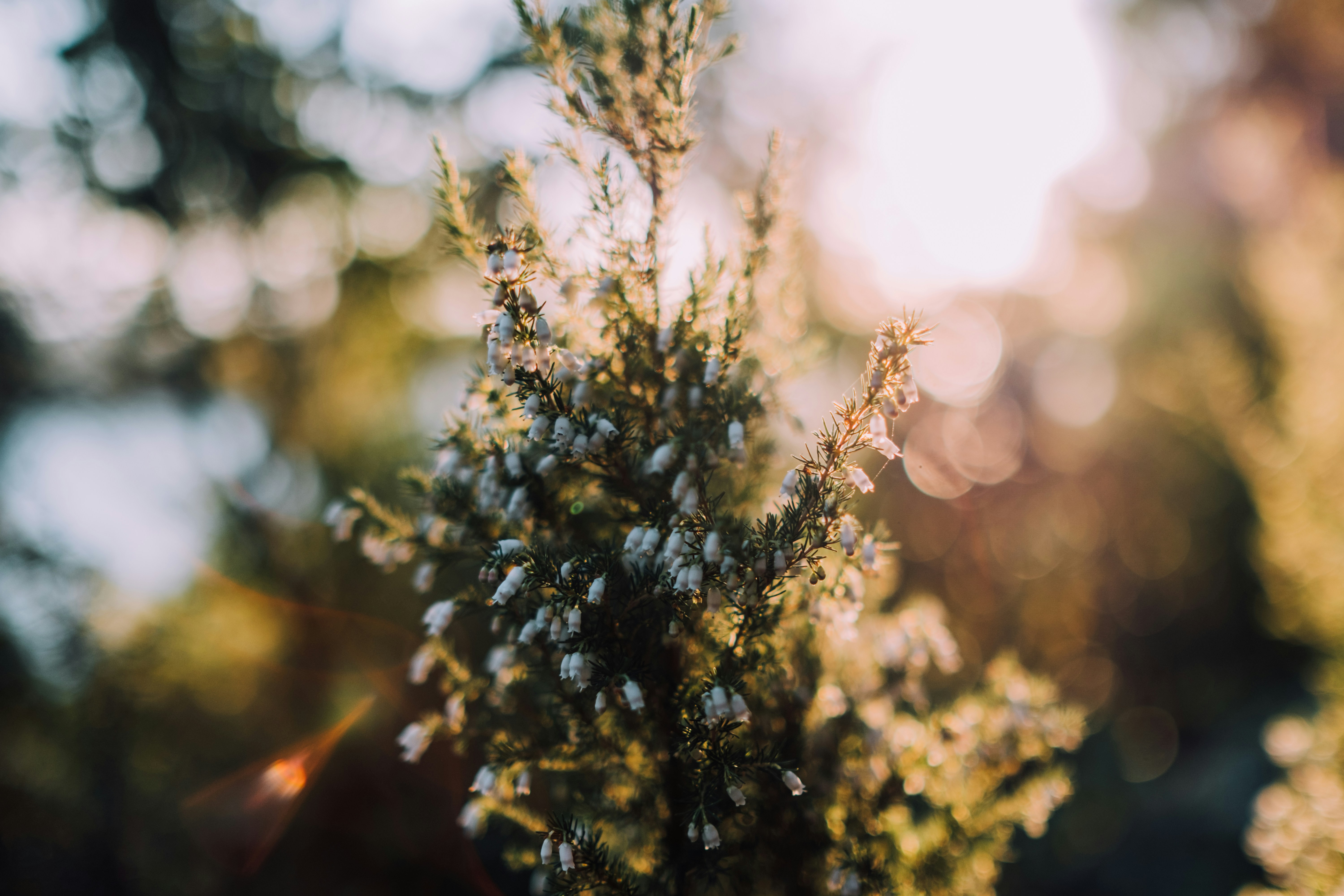 Photo by timmarshall