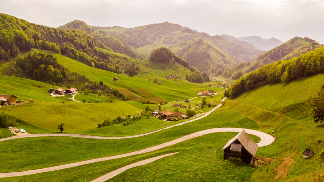 Charming Swiss Houses
