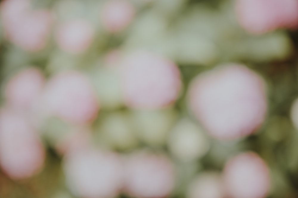 Una foto sfocata di un mazzo di fiori rosa