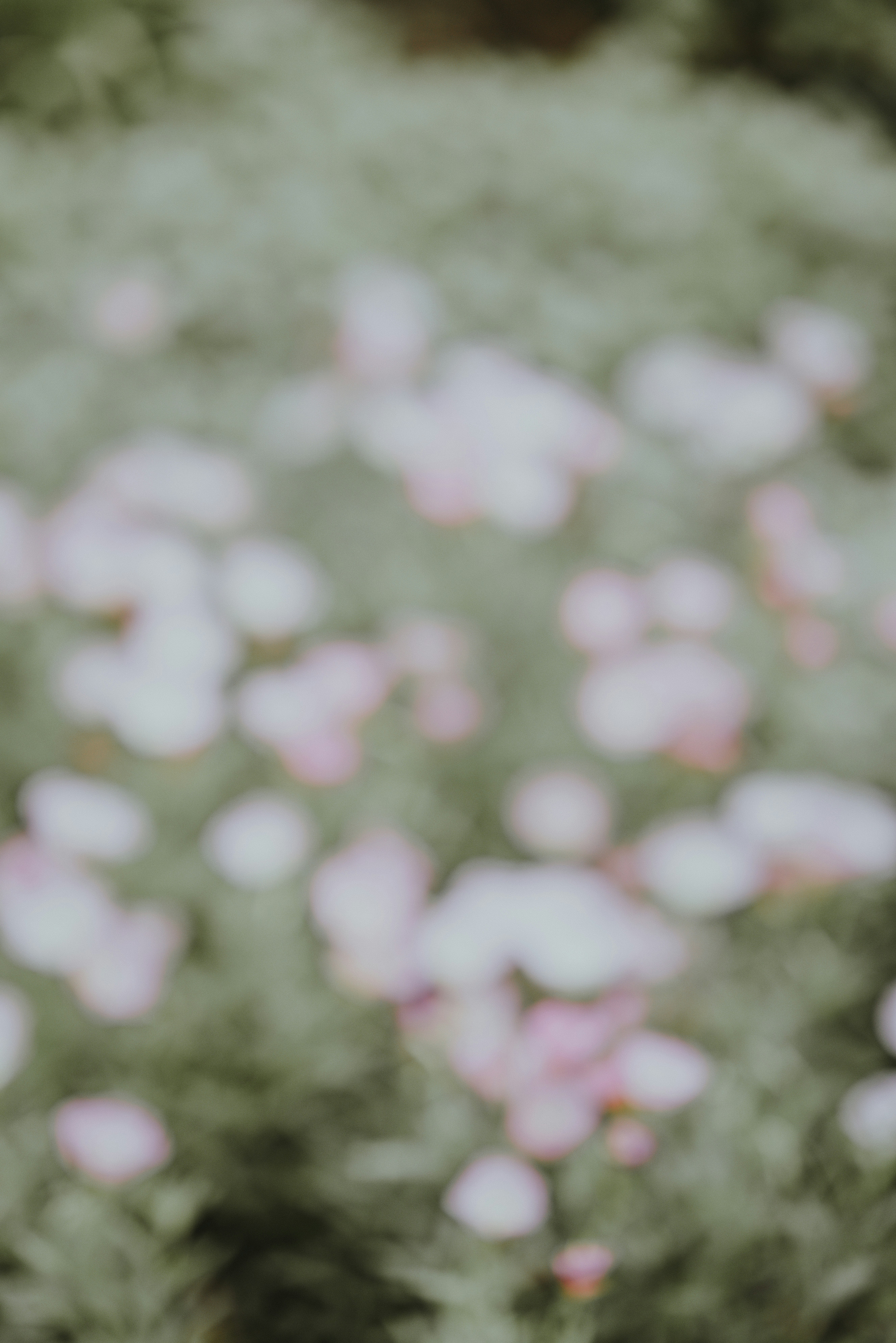 Photo by anniespratt