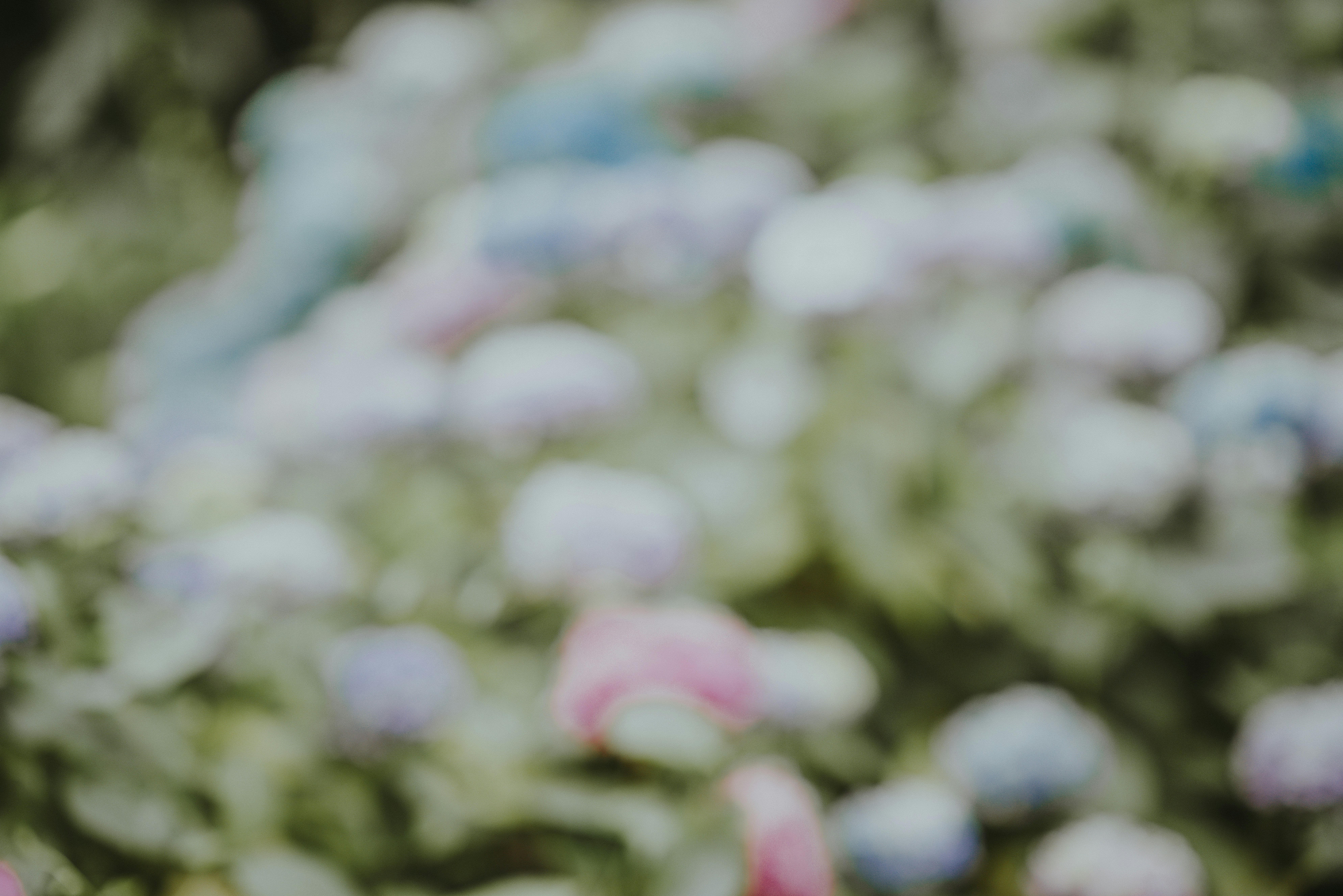 Photo by anniespratt