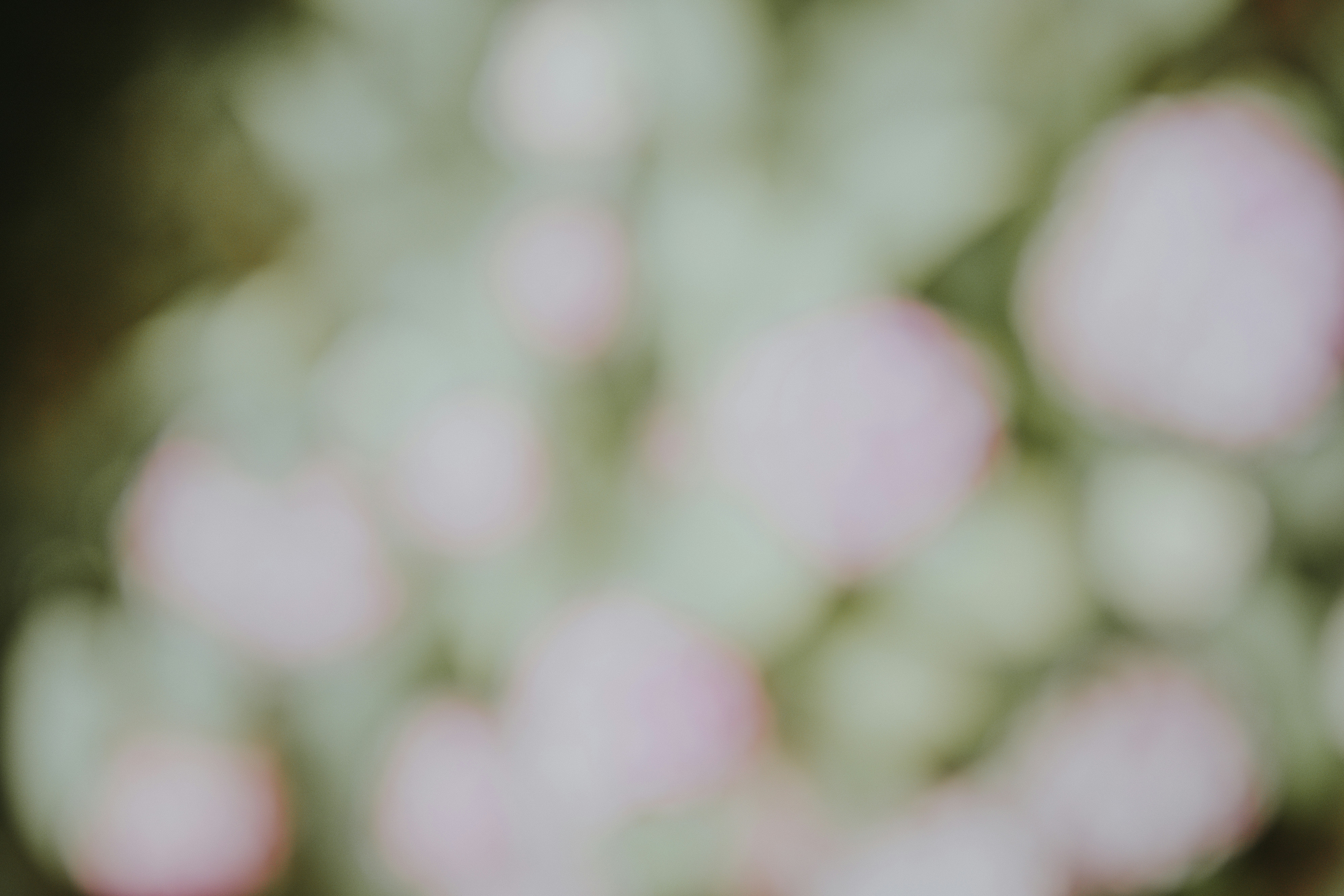 Photo by anniespratt