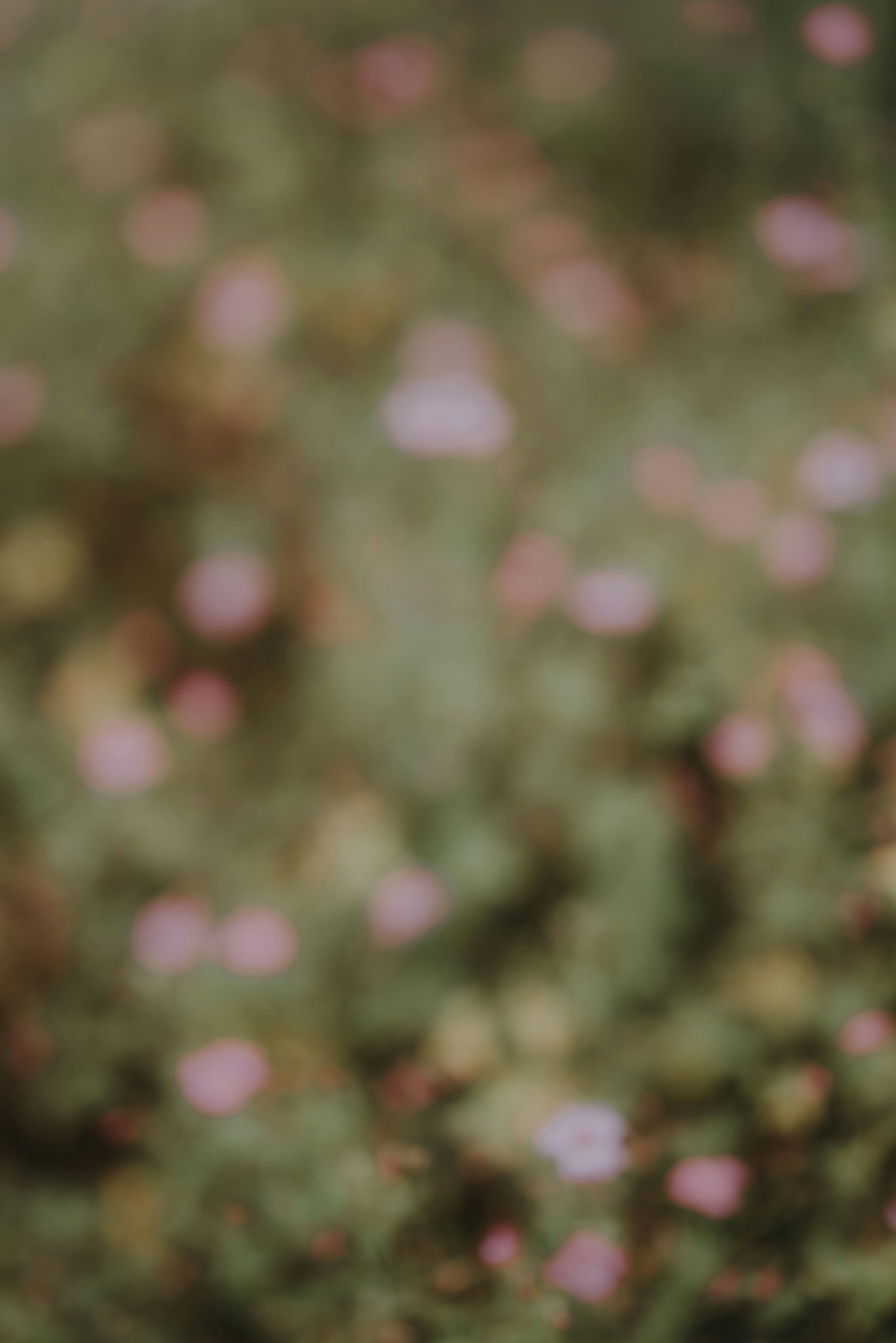 Photo by anniespratt