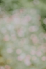 Creative background replacement with subtle color enhancement.