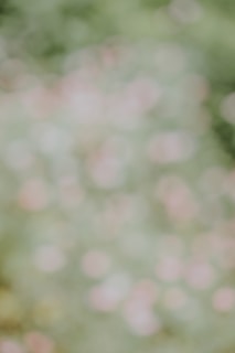 Soft, out-of-focus background with a mixture of muted green and pink tones resembling bokeh light effects.