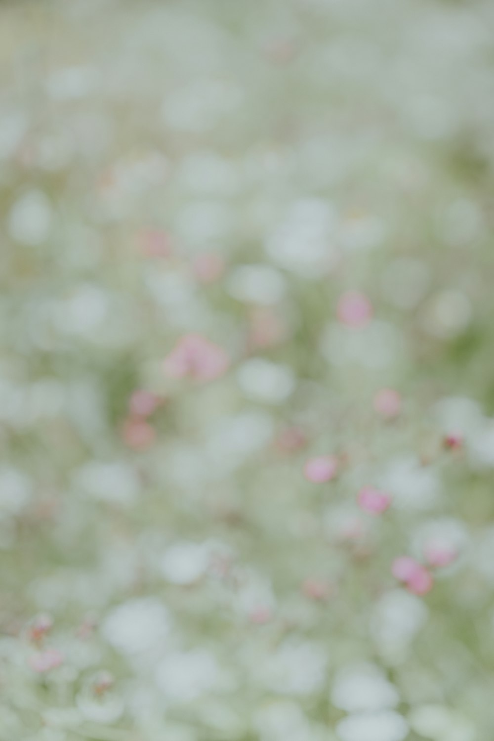 um urso de pelúcia branco sentado no meio de um campo de flores