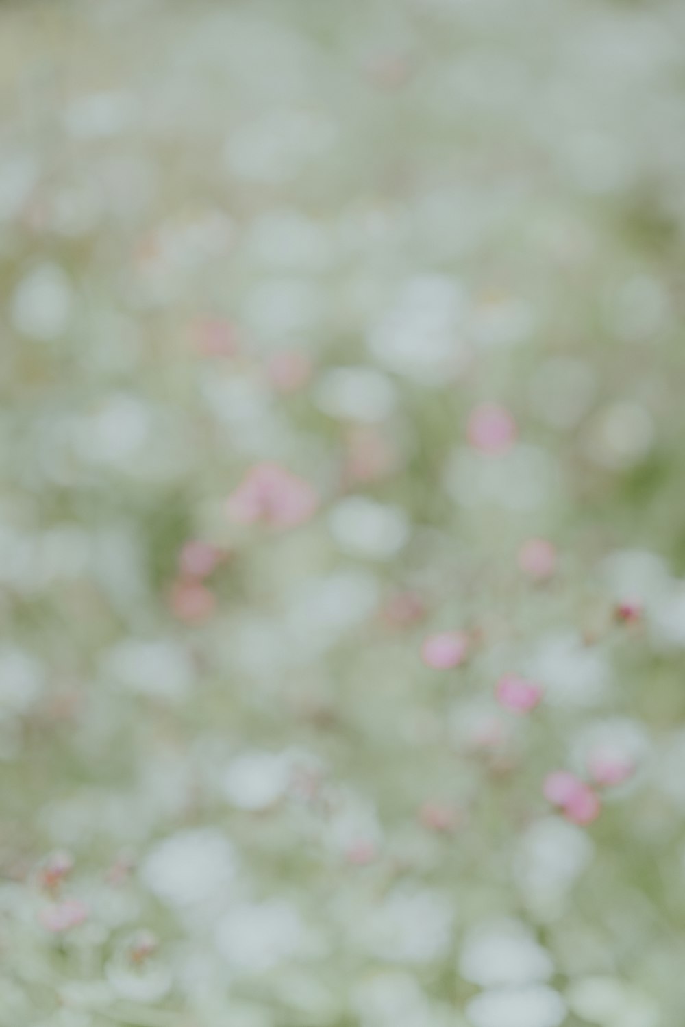 a white teddy bear sitting in the middle of a field of flowers