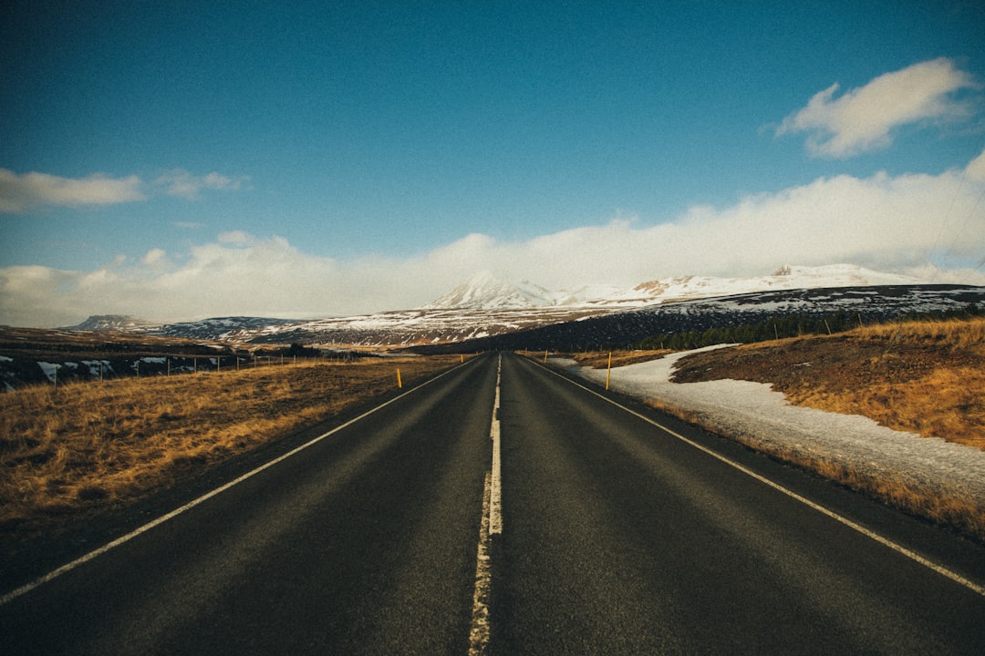 gray pave road during daytime