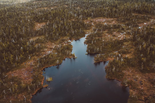aerial photography of lake surrounded with trees at daytime in Ketchikan United States