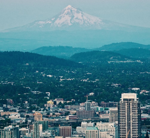 aerial photo of high rise buildings