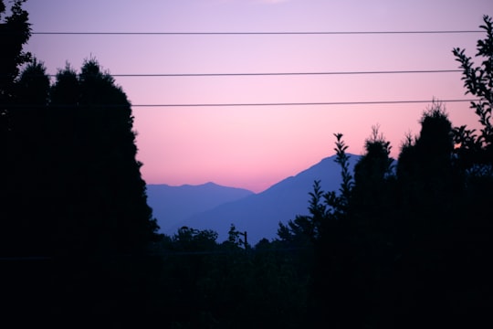 silhouette of trees and mountains at golden hour in Ogden United States