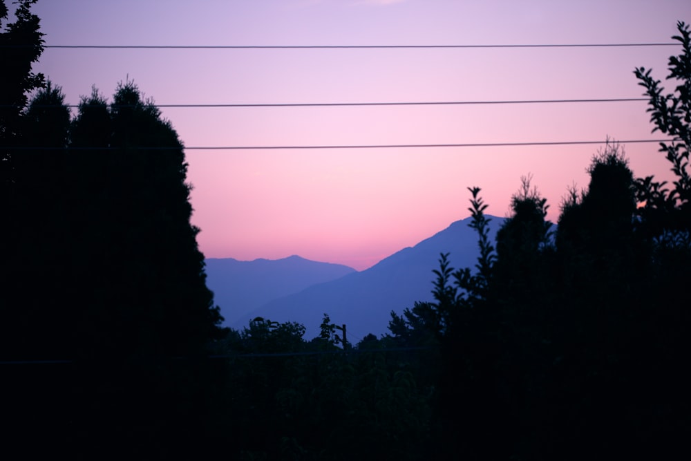 silhouette of trees and mountains at golden hour