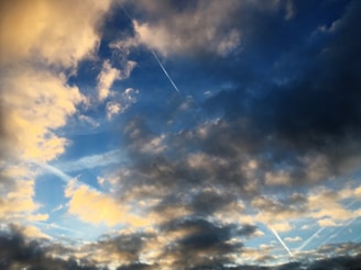 An overview of ongoing Skychives projects displayed in a stunning format.