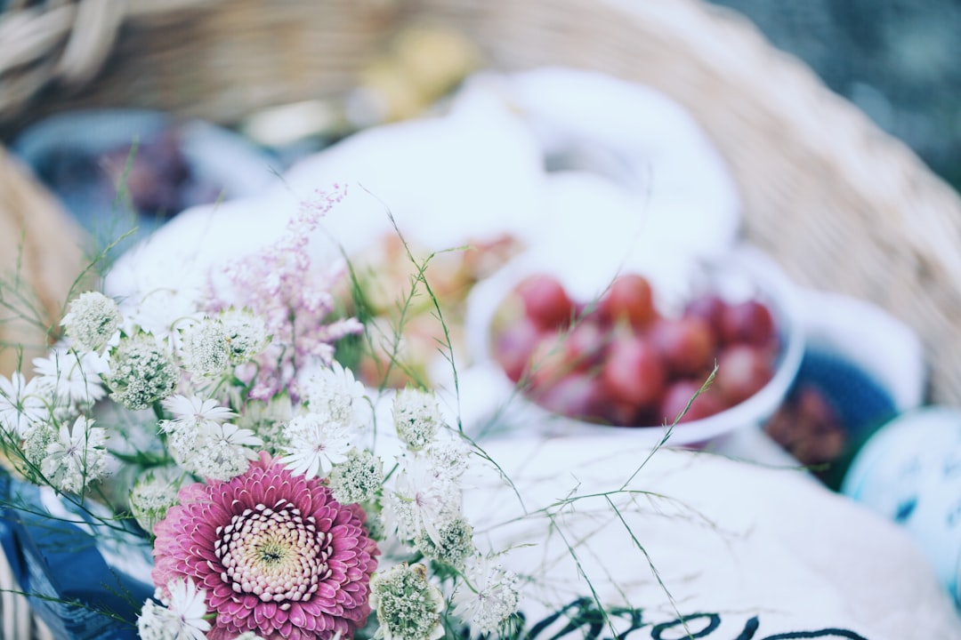 selective focus photography of white and pink petaled flowers