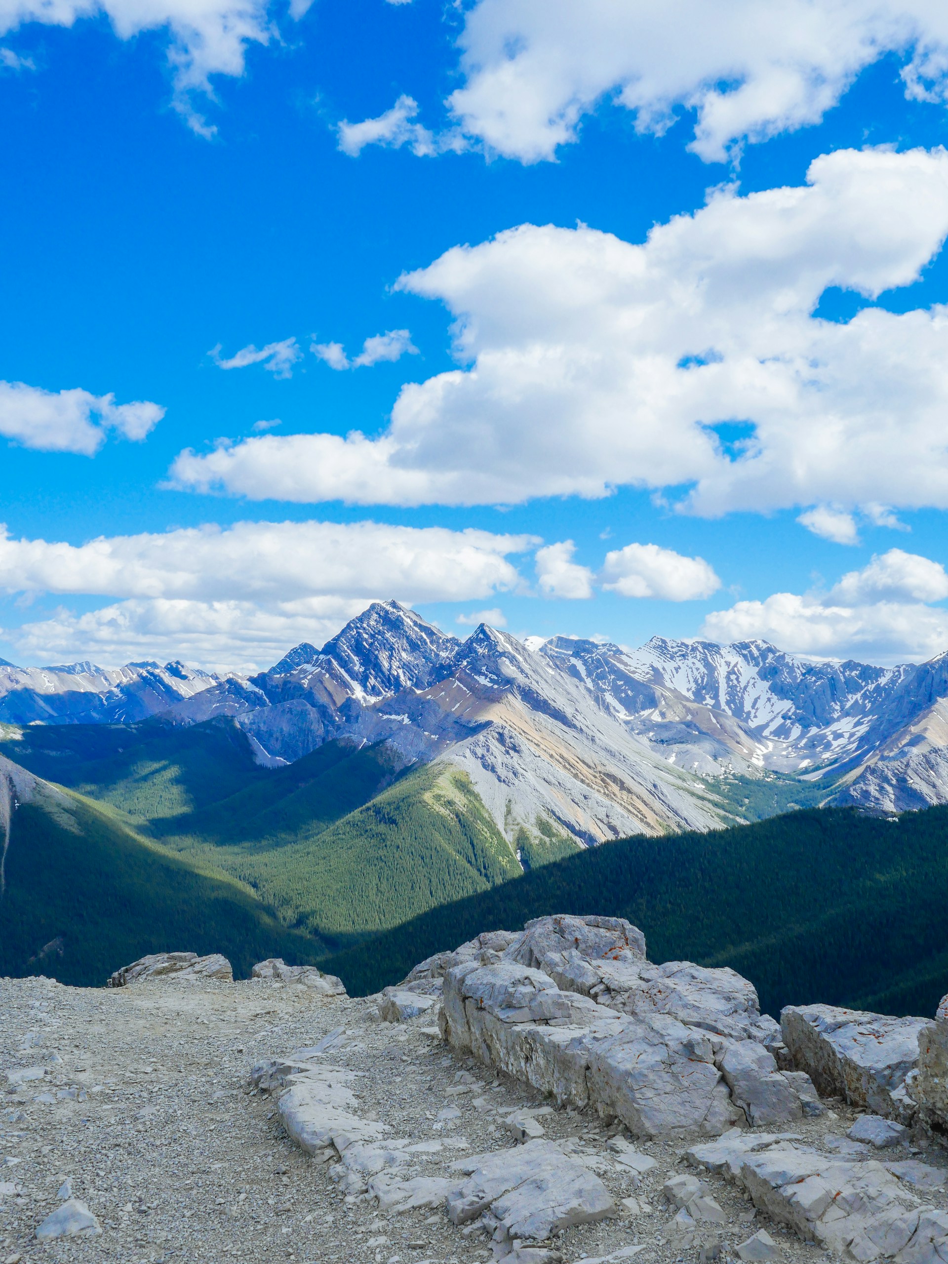 woman wearing yellow long-sleeved dress under white clouds and blue sky during daytime