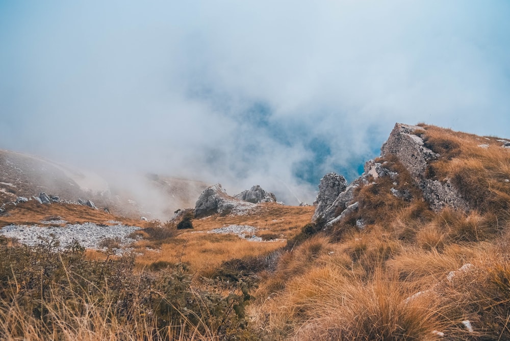 mountain with grass