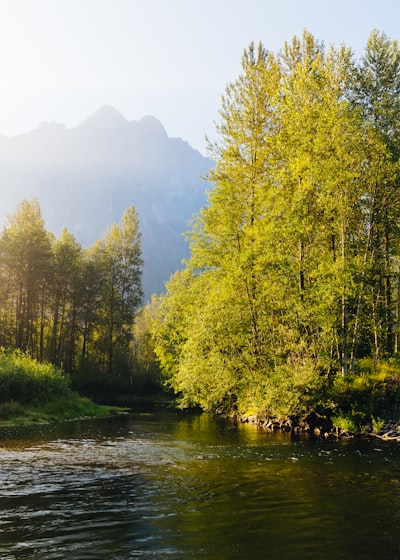 River winding through forest, Snoqualmie Washington