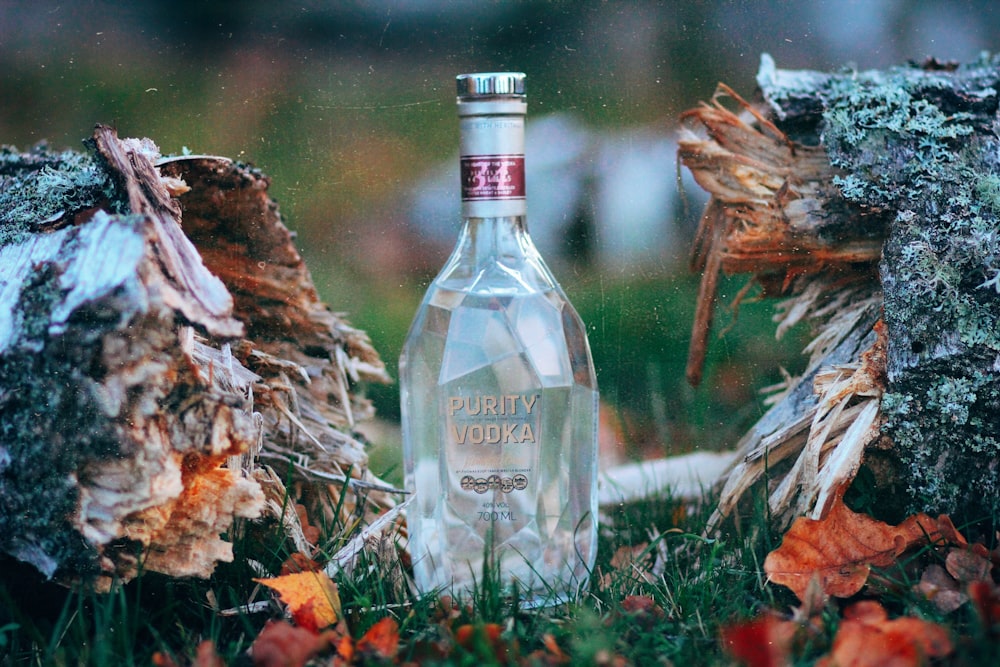 clear glass bottle near broken log