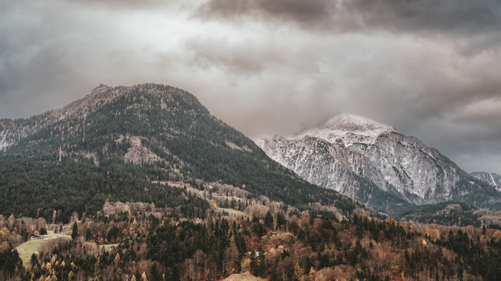 mountains with trees under cloudy skies