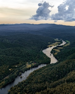 Aerial view of a vast forested area with winding rivers and mountains in the background.