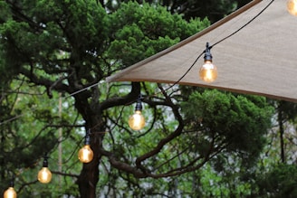 Several hanging light bulbs are strung along a wire beneath a large canvas canopy, surrounded by lush green foliage with a tree in the background. The bulbs emit a warm glow, and the setting appears to be outdoors, possibly a garden or a backyard.