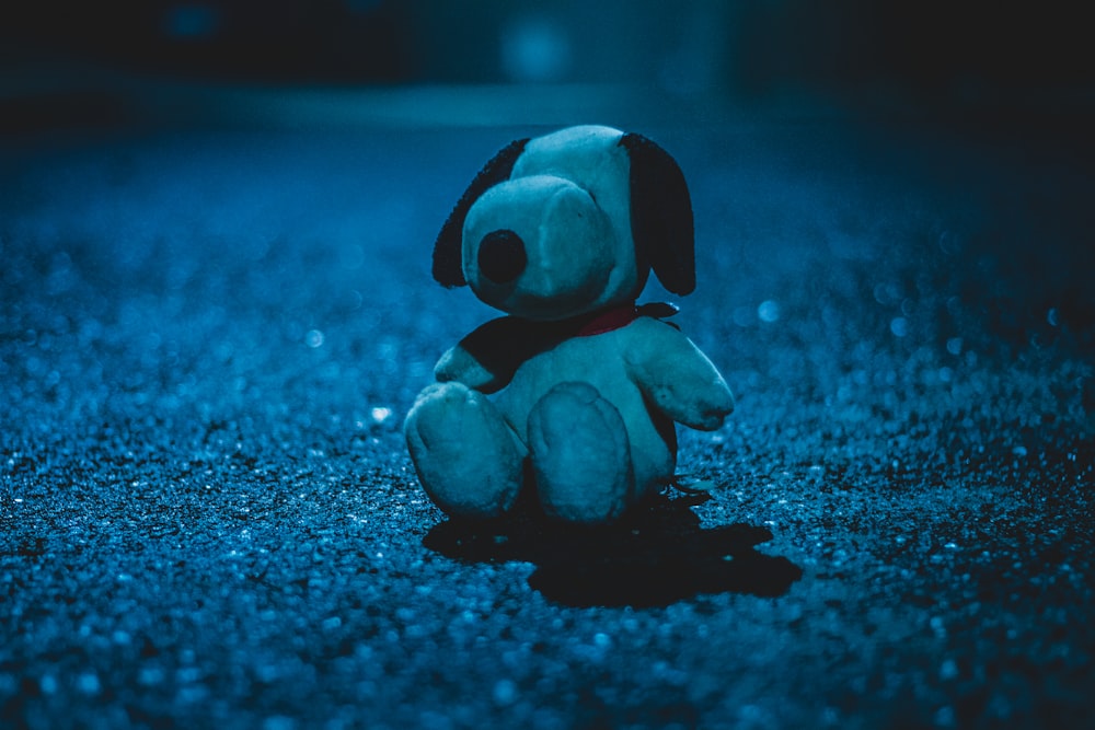 white dog plush toy on sandy ground at nighttime