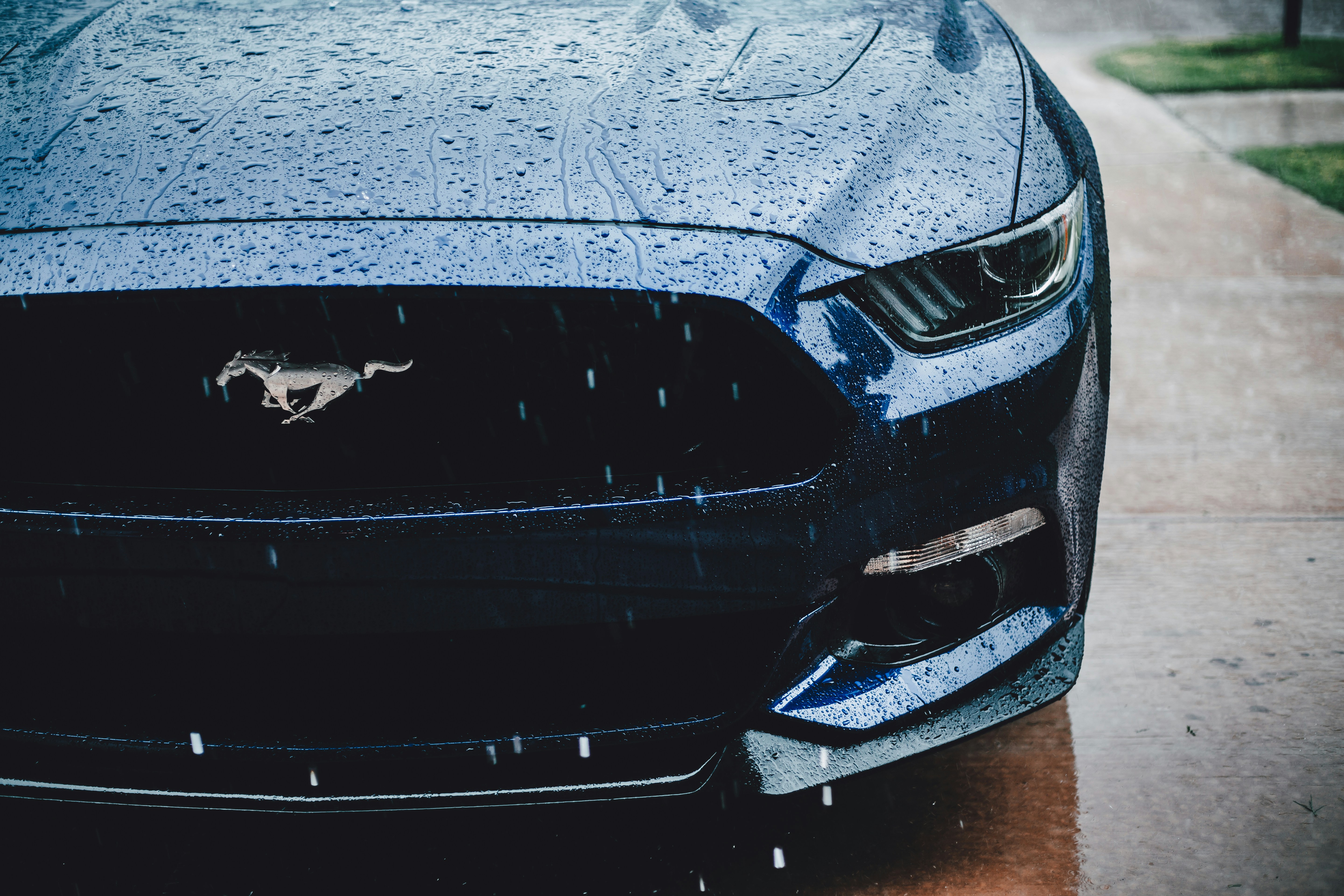 Mustang Wallpapers: Kostenloser HD-Download [500+ HQ] | Unsplash