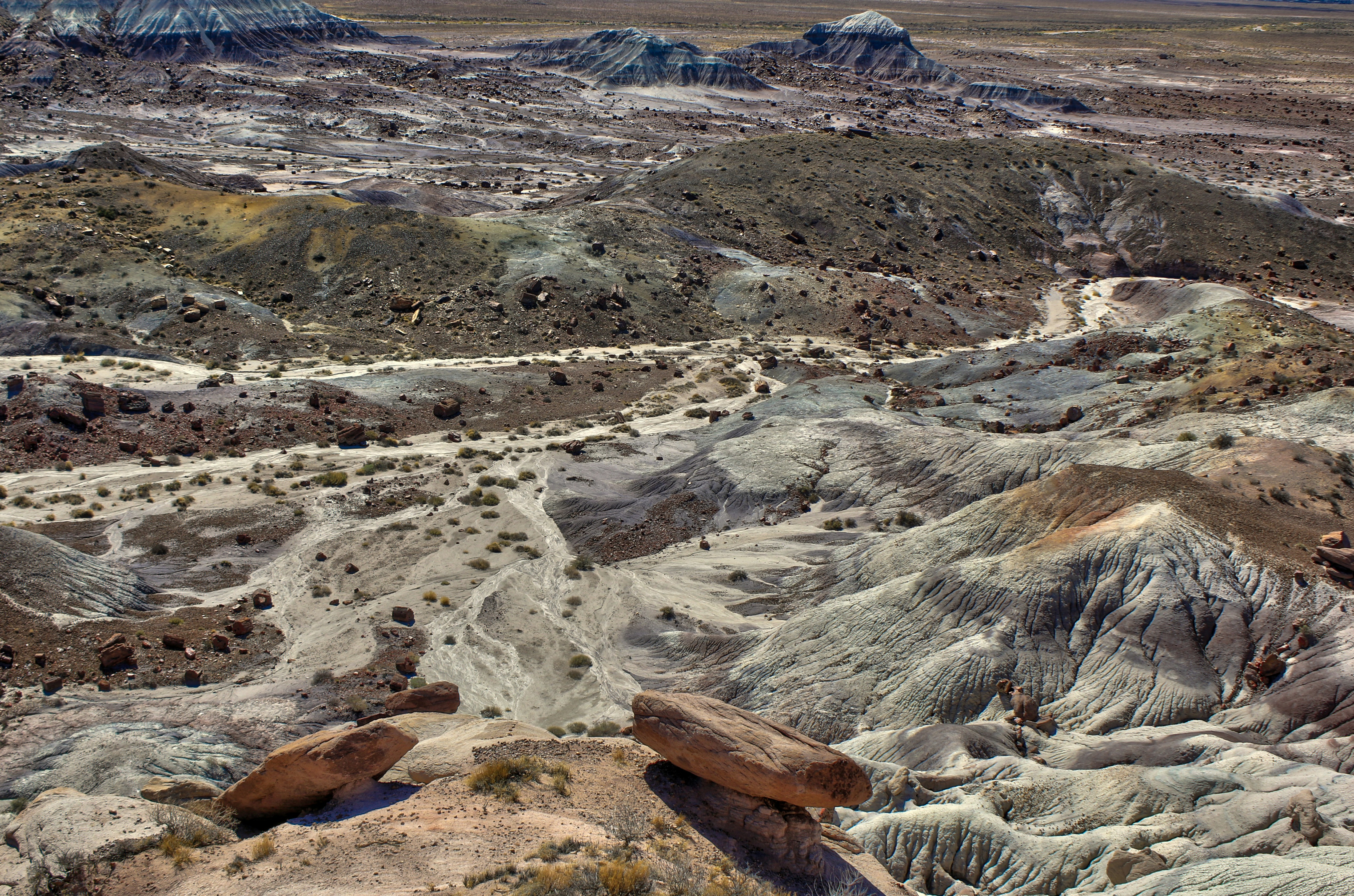 Photo by sunburned_surveyor