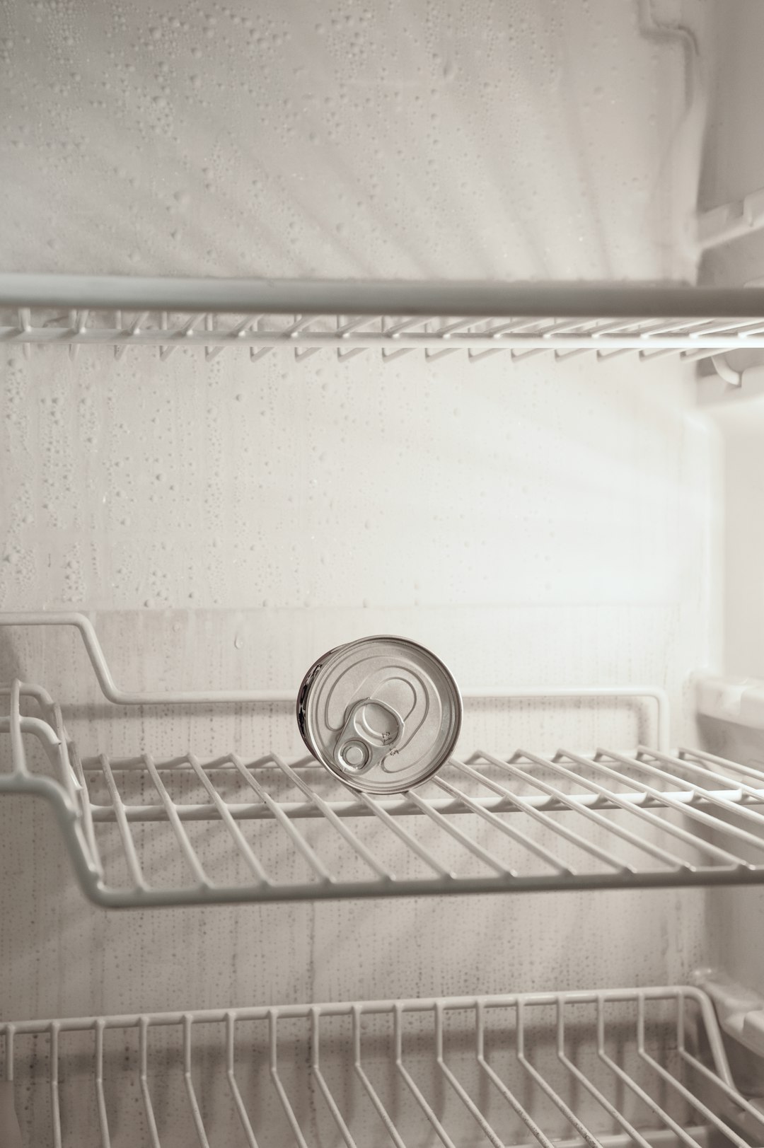  beverage can in refrigerato refrigerator