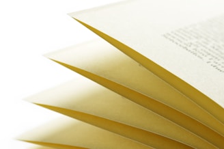 closeup photo of book pages