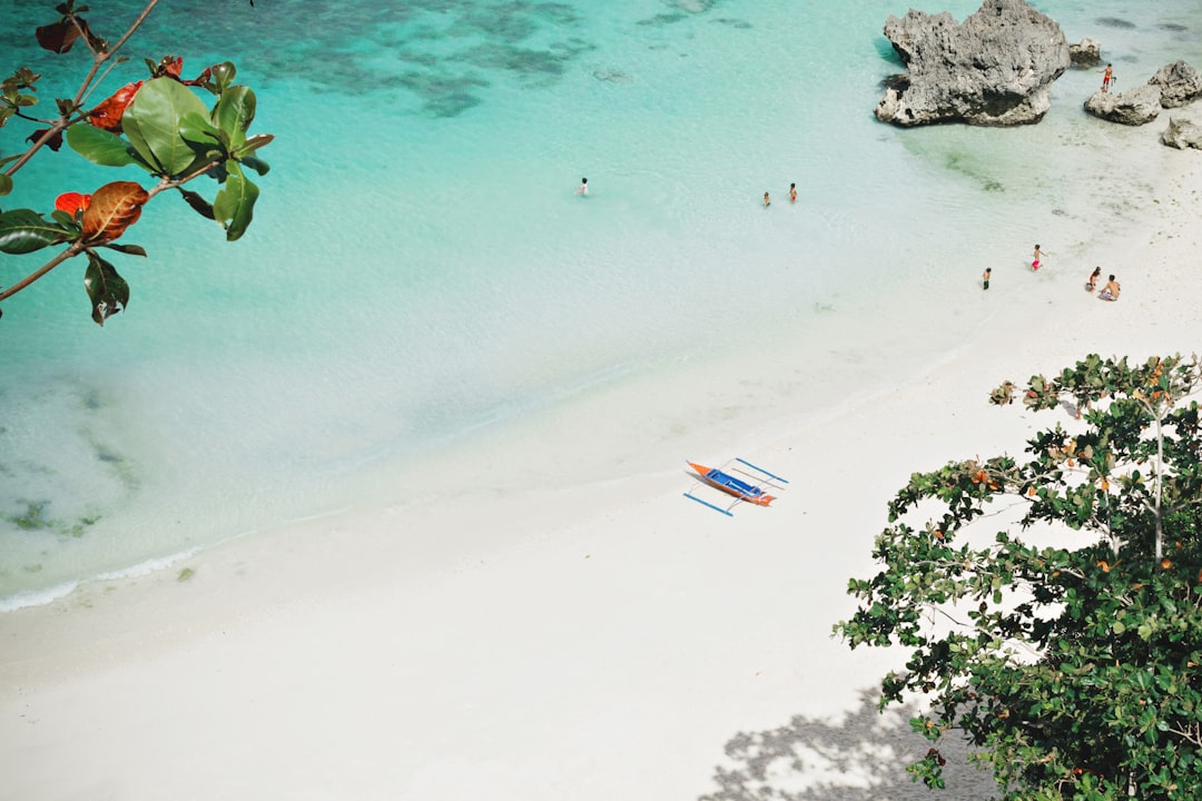 wooden boat on shore near green tree, My friend and I took a vacation to Boracay Island just right before it was closed 