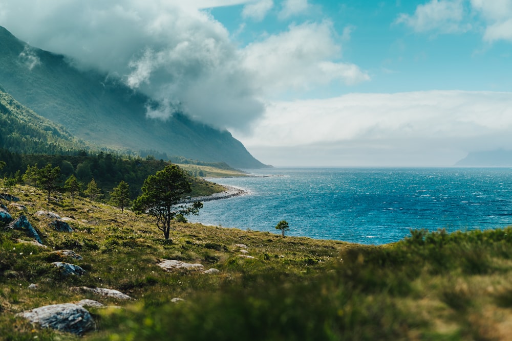 Landscape coast sea and ocean HD photo by Torbjorn 