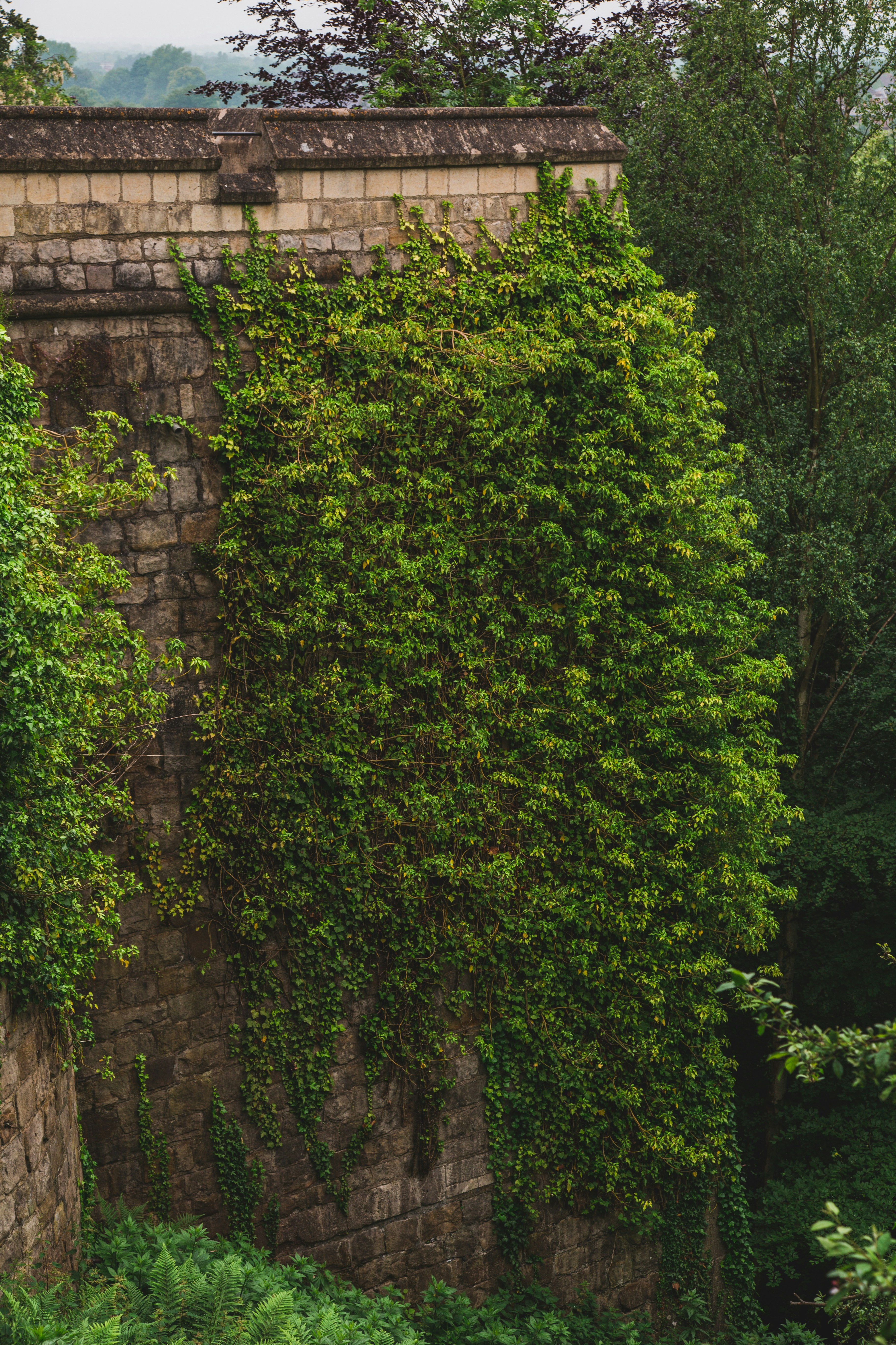 castle wall