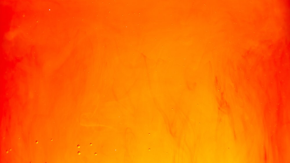 Free Orange Image on Unsplash