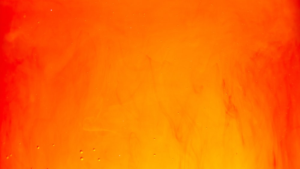 550+ Orange Background Pictures | Download Free Images on Unsplash