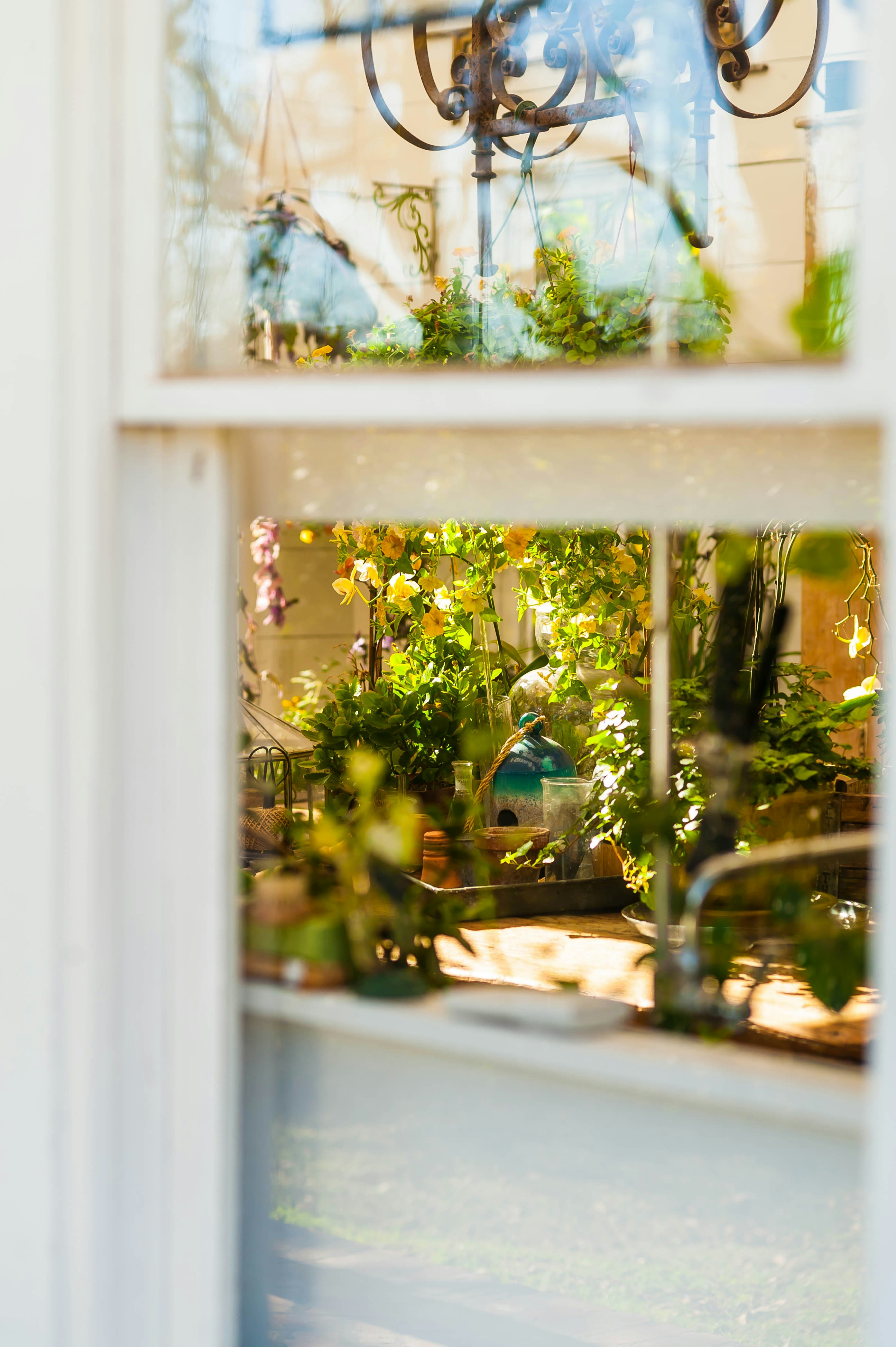 Photo by balensiefenphoto