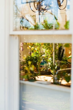 showing green plant and yellow flowers