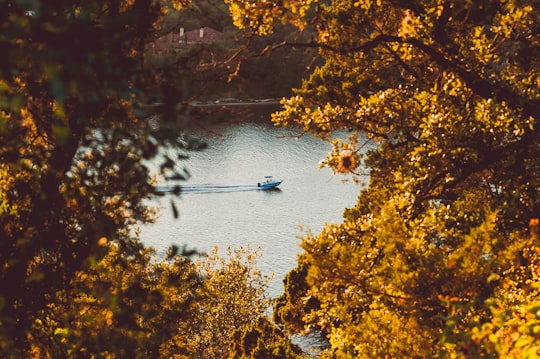 moving white speedboat in Austin United States