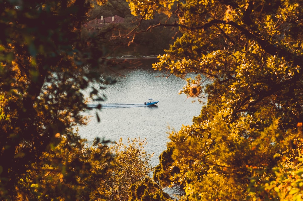 moving white speedboat