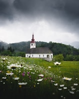 white and black cathedral surrounded by grass