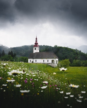 white and black cathedral surrounded by grass