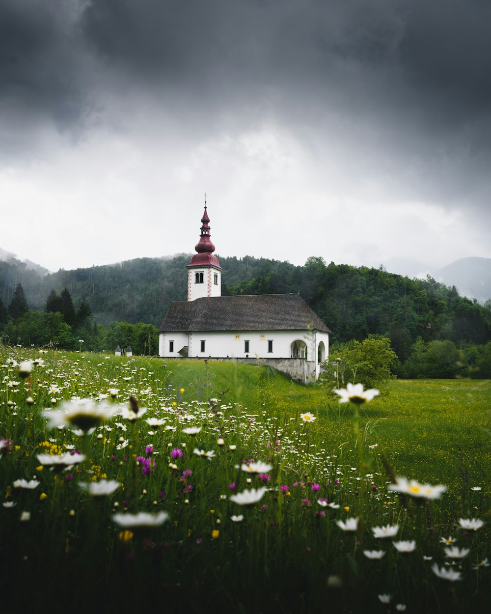 white and black cathedral surrounded by grass